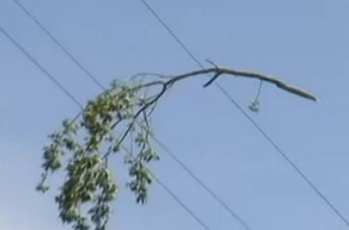 Un tornado categoría EF-0 se caracteriza por fuertes vientos que pueden alanzar entre 75 y 85 millas por hora, con una amplitud de 50 a 100 yardas y puede recorrer una trayectoria de hasta dos millas.