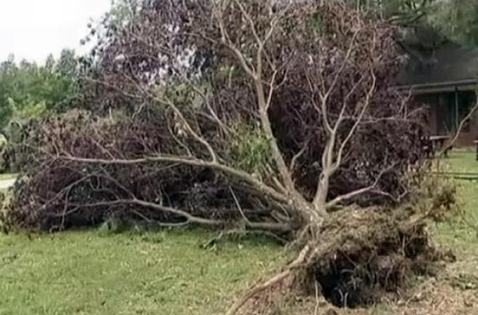 Una serie de tormentas deja gran destrucción en Nueva Jersey.