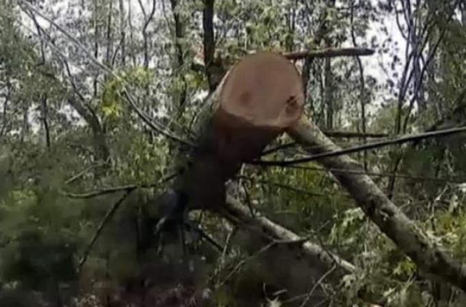 Una serie de tormentas deja gran destrucción en Nueva Jersey.