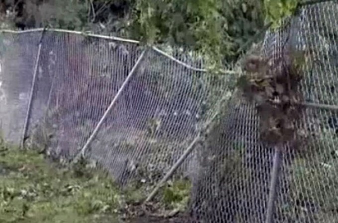 Las lluvias que acompañaron al torbellino inundaron varias zonas.