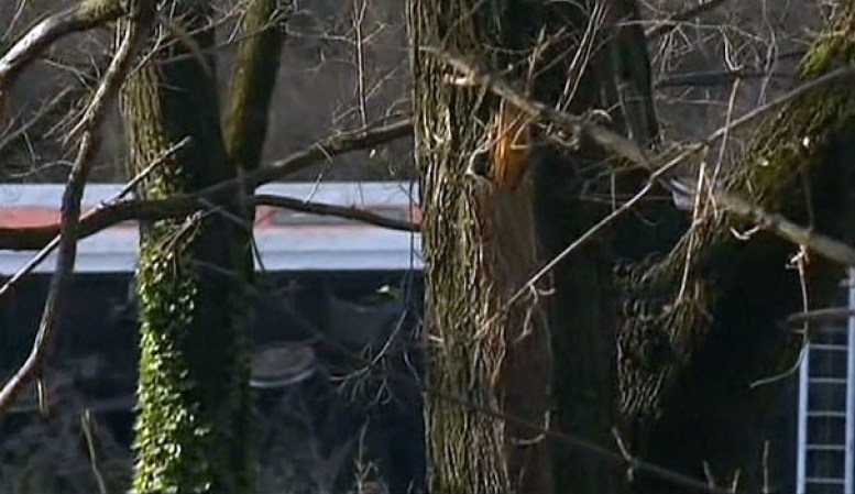 El descarrilamiento de un tren del Metro North deja muertos y varios heridos en el Bronx, Nueva York.