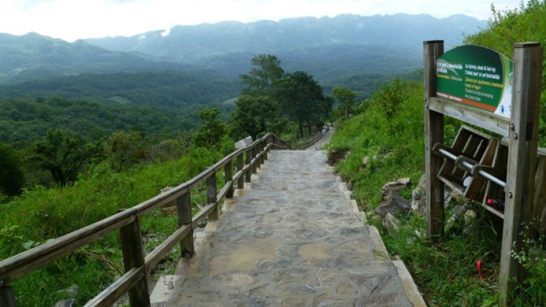 El lugar fue descubierto por un equipo de la Universidad de Texas que estaba estudiando las aves de la Huasteca Potosina.