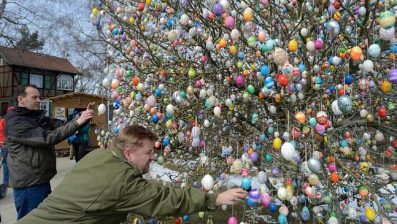 Y esta ciudad atrae a miles de turistas alrededor del mundo para ver el árbol familiar.