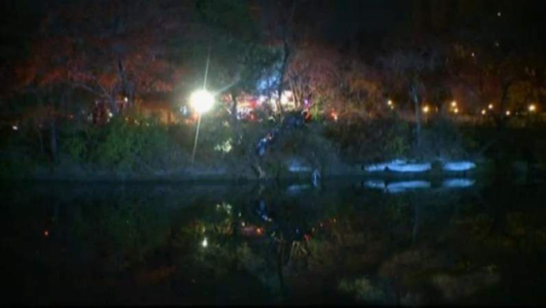 El auto impactó un árbol, luego rebotó y golpeó otros tres árboles, antes de detenerse suspendido sobre el agua.