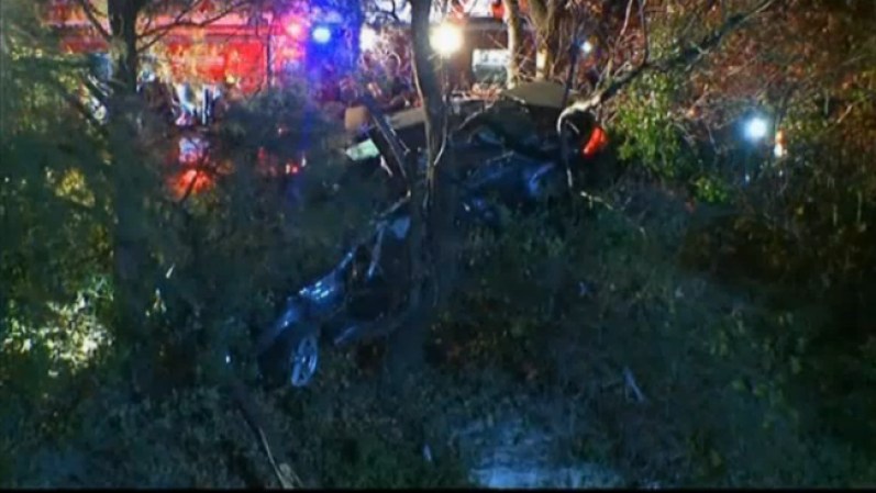 El auto impactó un árbol, luego rebotó y golpeó otros tres árboles, antes de detenerse suspendido sobre el agua.