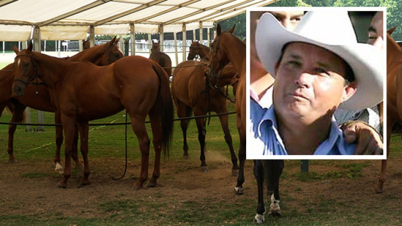 Cinco miembros de dicho cartel fueron sentenciados por lavar dinero proveniente del narcotráfico, entre ellos, se encontraba el hermano del “Z-40” Miguel Ángel Treviño Morales. <br /><br /><br /><br /><br /><br /><br /> Sentenciaron al hermano del jefe de Los Zetas <br />