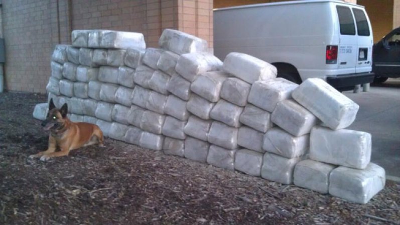 Cuatro hombres fueron acusados de meter 100 cajas de cartón en un camión de mudanza las cuales tenían cerca de 2,000 libras de marihuana.