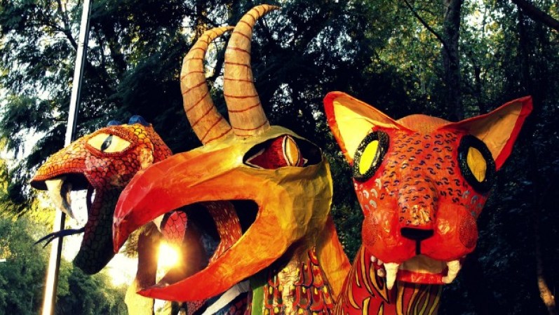Cada año, el Museo de Artes Popular organiza la "Noche de los Alebrijes", un desfile de figuras monumentales.