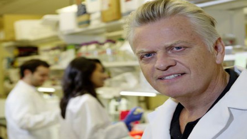 JUNIO 10, 2013. Dr. Steffan Andersson fue asesinado con el tacón del zapato de una mujer.