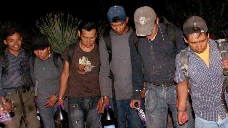 Los cárteles mexicanos de la droga frecuentemente han utilizado inmigrantes para que transporten droga a Estados Unidos.