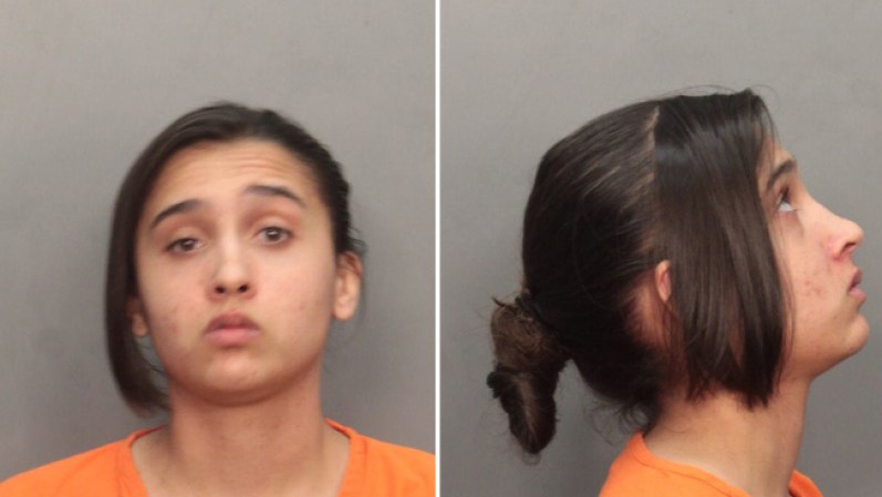 Jennifer Hoffman fue arrestada el 04/10/13 acusada de : <br />GRAND THEFT 3RD DEGREE