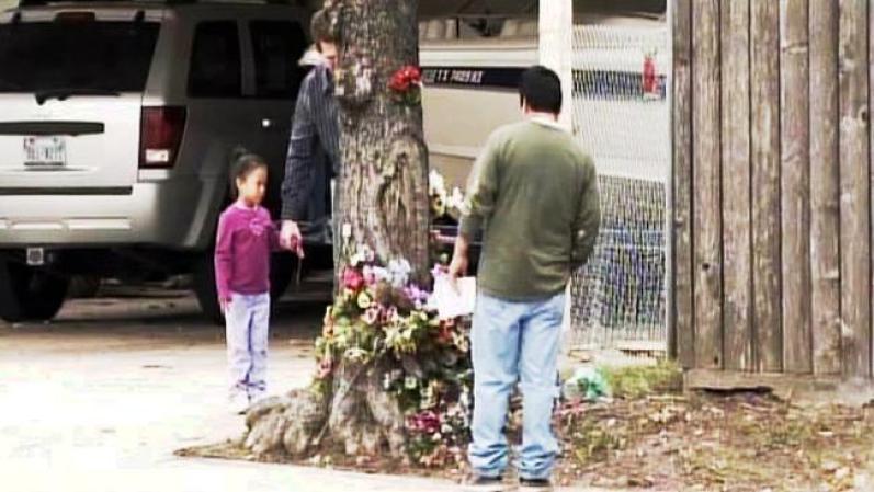Hasta los niños quieren saber de qué se trata. Hay múltiples anécdotas de gente que al pasar en su vehículo decide detenerse y observar la imagen "todo el tiempo que sea necesario".