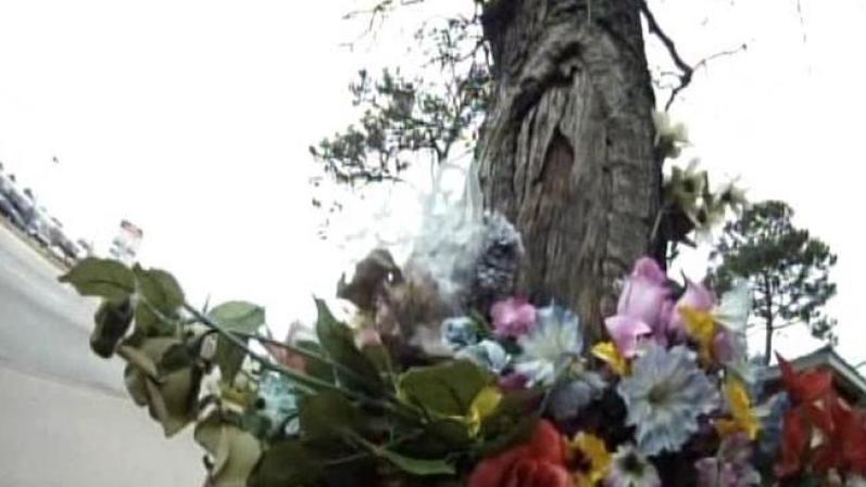 La aparición de esta figura religiosa, trascendió las fronteras de la ciudad de Houston. No sólo la visitan los residentes de todo Texas, se ha hecho tan famosa, que los fieles atraviesan la frontera y acuden al sitio, con un rosario en mano, para pedirle milagros. ¿Dónde puedes ir a verla? 3800 N. Shepherd, esquina con 39th Street, Houston, Texas.