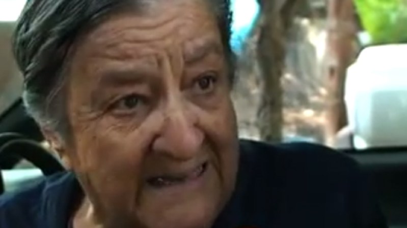 En 1973, el albergue La Gran Familia se constituyó como asociación civil, supuestamente, para lograr la adaptación social y personal de los niños de la calle. Mamá Rosa era conocida y respetada por políticos y líderes comunitarios.