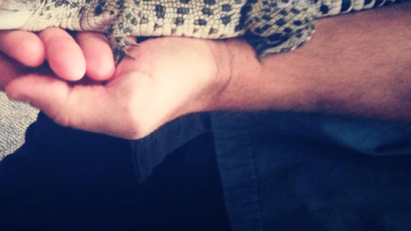 Mal regalo a George Alexander Louis