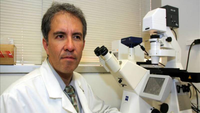 Colesterol, carros también lo afectan