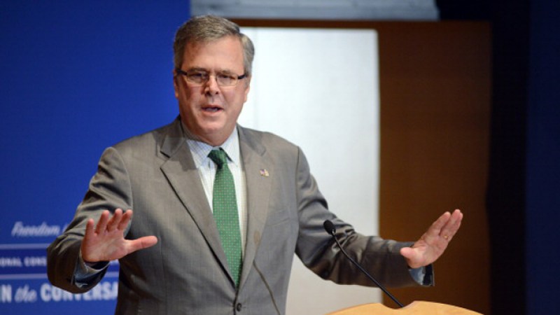 Jeb Bush