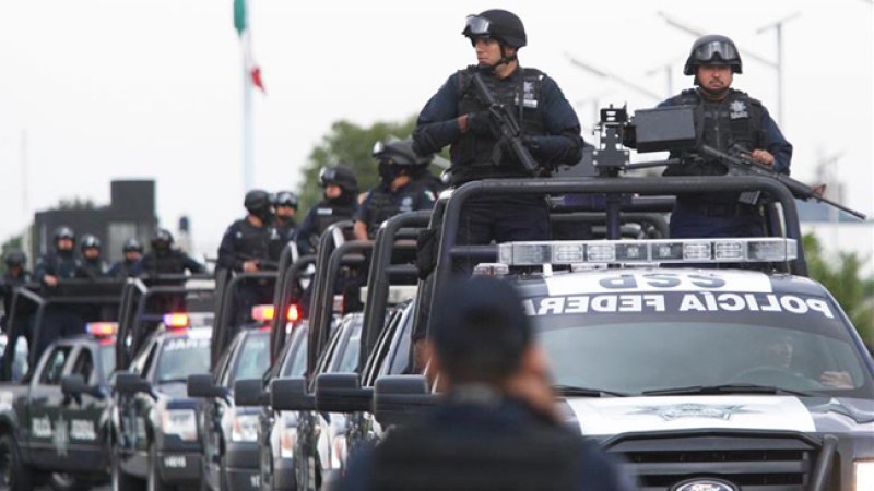Detenido: hijo del líder de un cartel