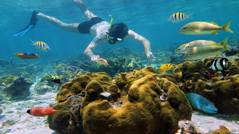 Cancún: nueva sede del MTV Spring Break