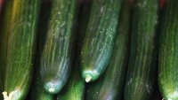 052911 cucumbers ecoli