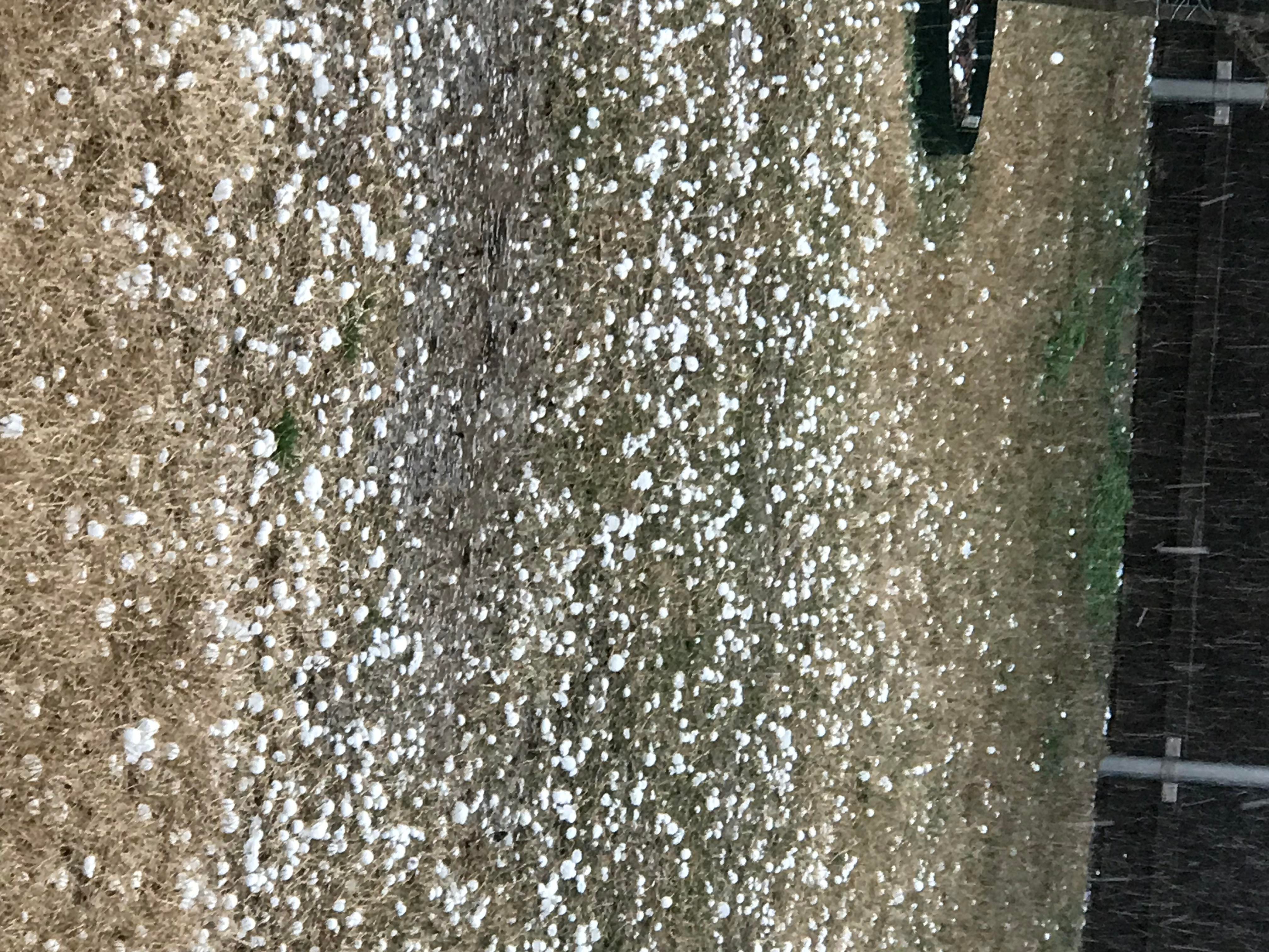 McKinney, Texas