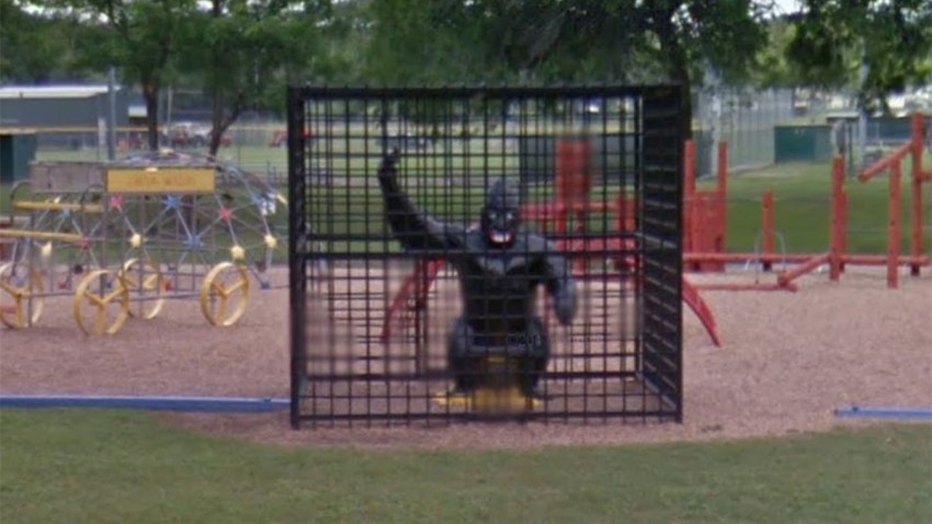 GORILLA IN CAGE at community park in corsicana