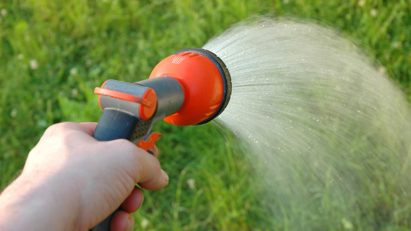 Ahorre dinero: ¿Cuándo regar el césped tras el paso de una lluvia