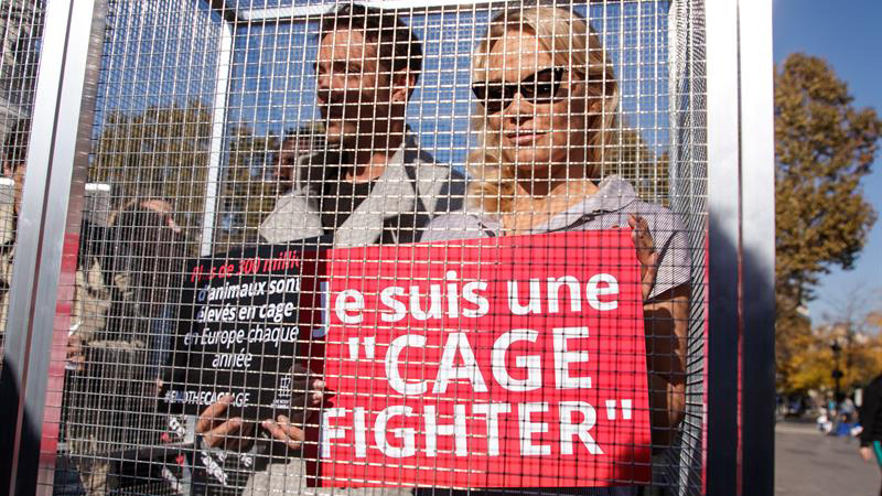 Pamela-Anderson-Protesta-Jaula-Paris-Animales-EFE