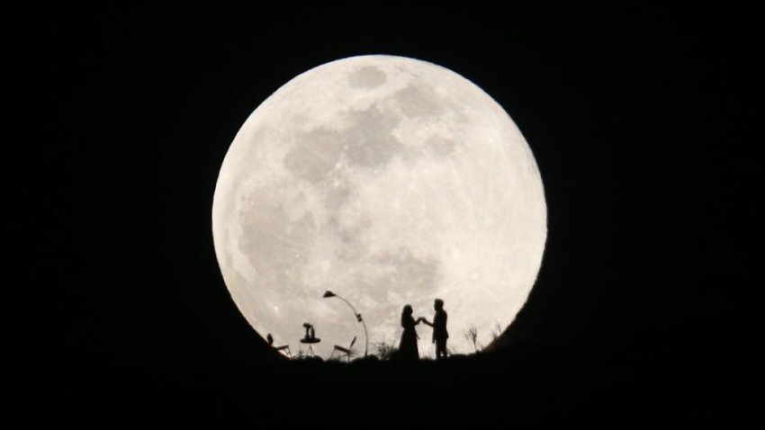 Millonario busca novia para viajar a la Luna