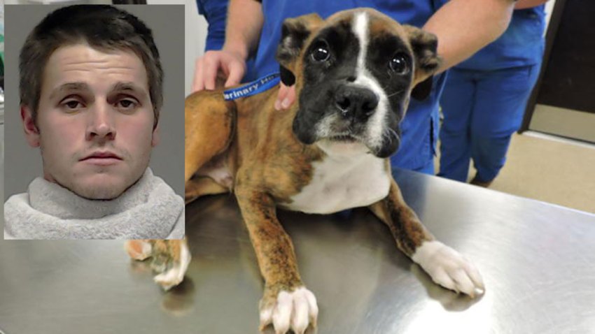 Andrew Callaway and Diesel the puppy