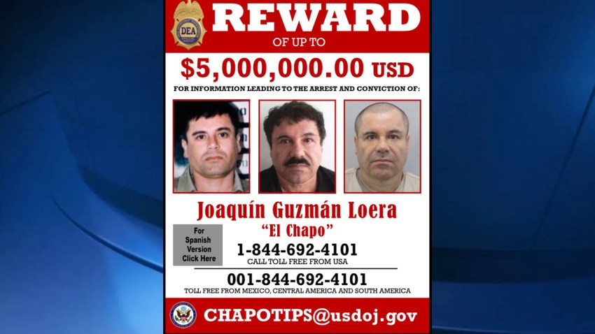 el chapo reward poster DEA State Department