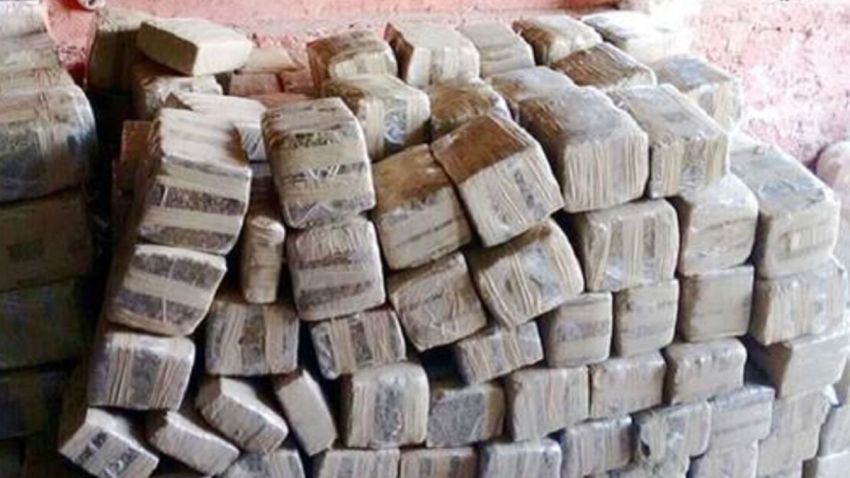 marihuana-tecolotlan-jalisco