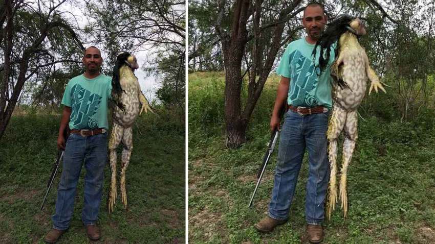 monster-frog-south-texas-hunting-association