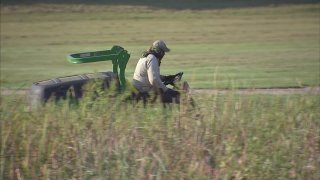 mowing fort worth