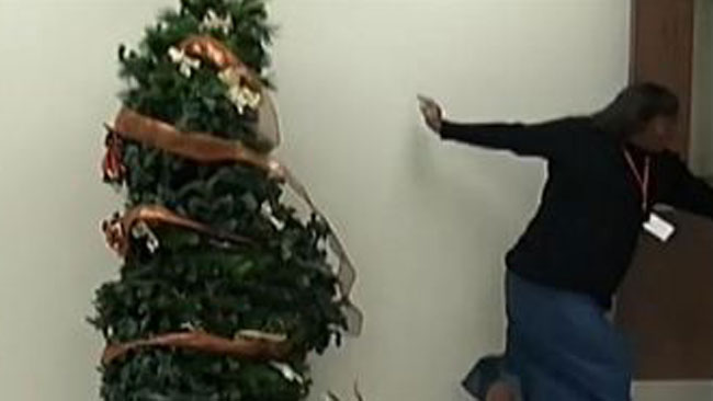tlmd_arbol_broma_ok