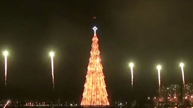 tlmd_arbol_rio_ok