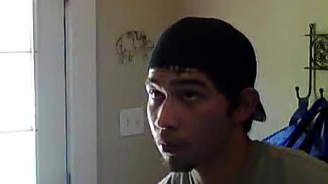 tlmd_bandido_perros1