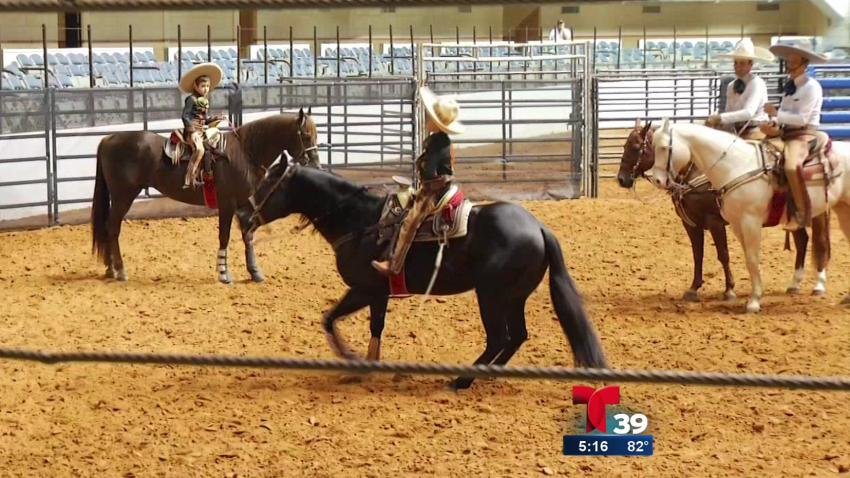tlmd_charros