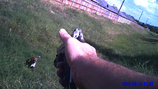 tlmd_cleburne_cop_dog