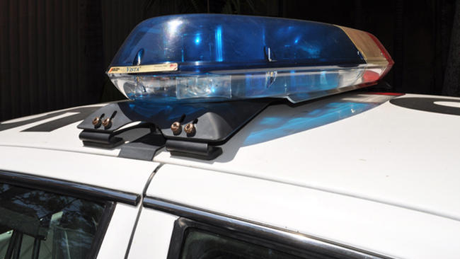 tlmd_fakepolicecar