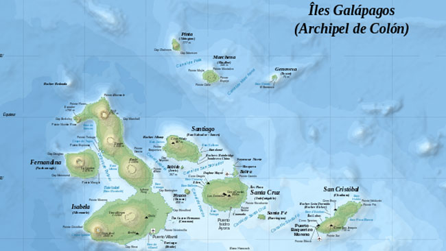 tlmd_galapagos_ok