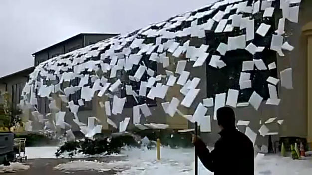 tlmd_hielo_techo