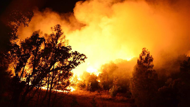 tlmd_incendiocalifornia1
