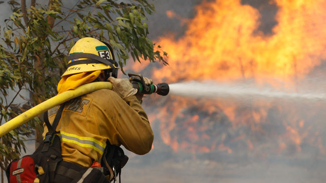 tlmd_incendios_maleza_san_diego_los_angeles_01