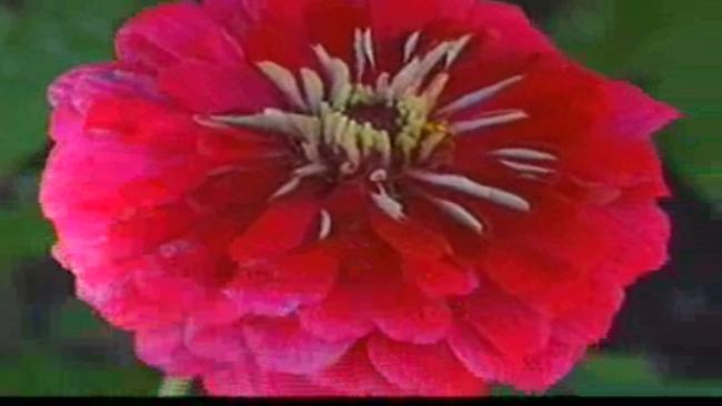 tlmd_jardin1002_134928693049501