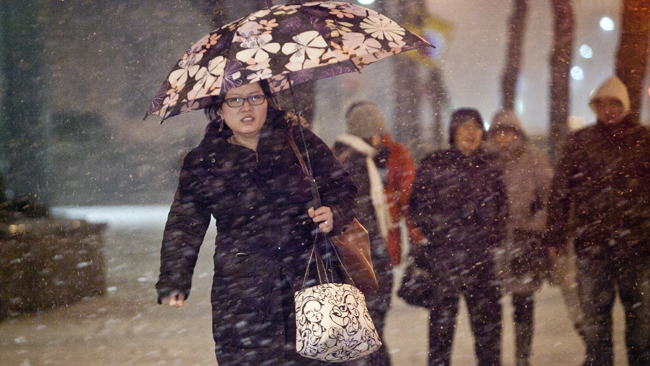 tlmd_nieve_nueva_york