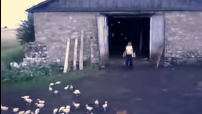 tlmd_pastor_de_patos_video_viral2
