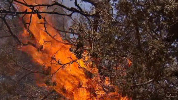tlmd_pk_lake_fire_051413