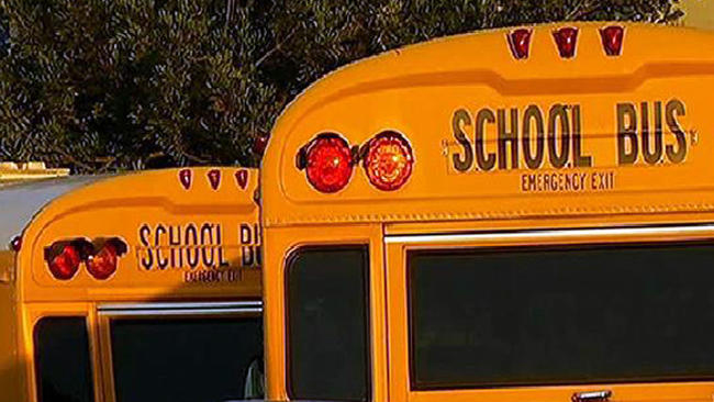 tlmd_schoolbus19