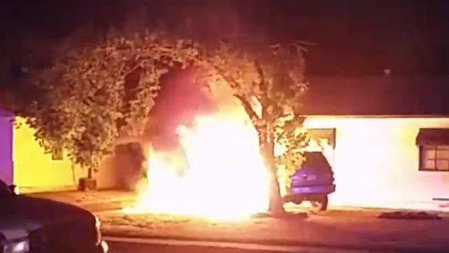 tlmd_stolen_car_house1